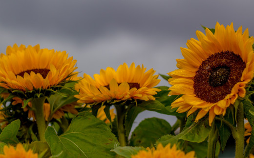 967248 (a): :2880x1800
